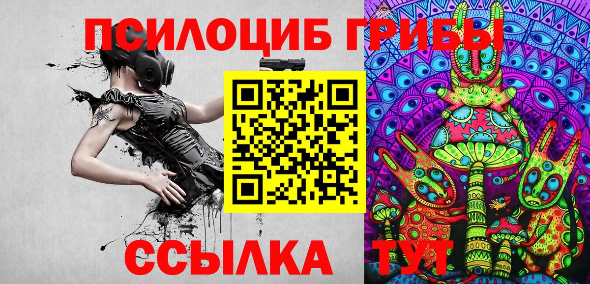 Удомля  Галлюциногенные грибы Psilocybe  Галлюциногенные грибы Cubensis  Вход с VPN 